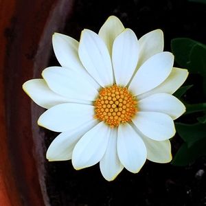 Meet your Posher, Patty